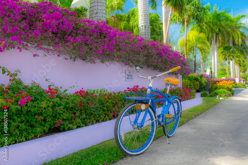 Blue Cruiser bicycle park on the pavement in front of a flower bed in the Caribbean,  Grand Cayman, Cayman Islands
