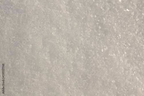 White clear snow for background.