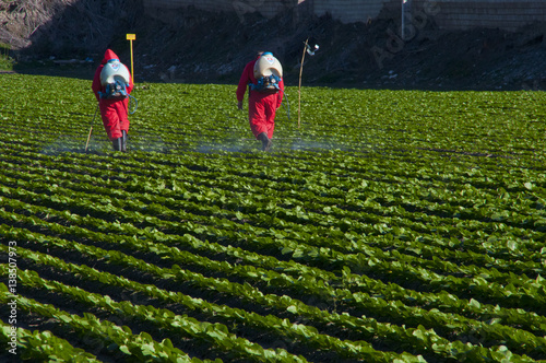 Fumigación de cultivo industrial con monos aislantes por precaución