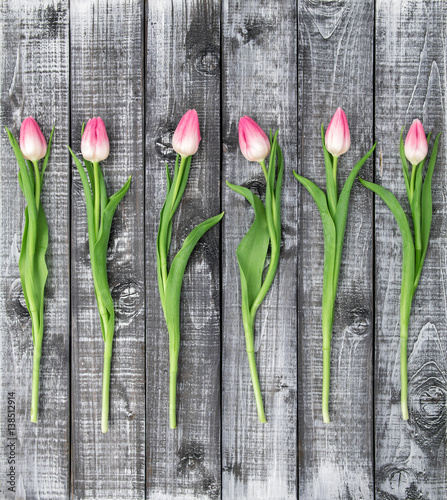 Floral flat lay Tulip flowers rustic wooden background