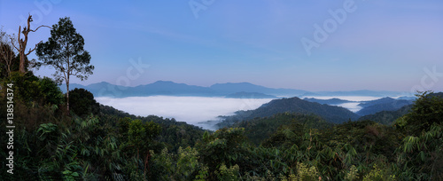 Tropical rain forest misty mountain forest