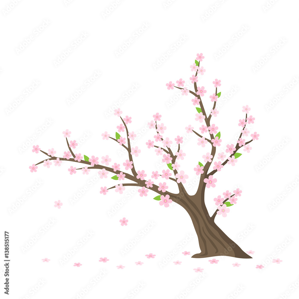 Vector flat Sakura tree isolated. Cherry tree with flowers on white ...