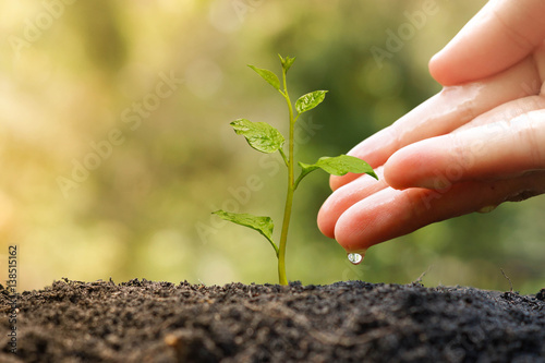 Agriculture. Plant seedling. Hand nurturing and watering young baby plant growing on fertile soil with natural green background