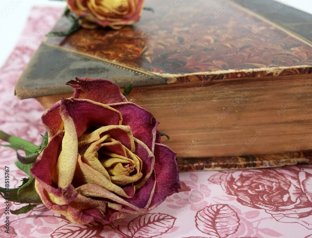 Obraz premium Stillleben aus der antiken Bibliothek