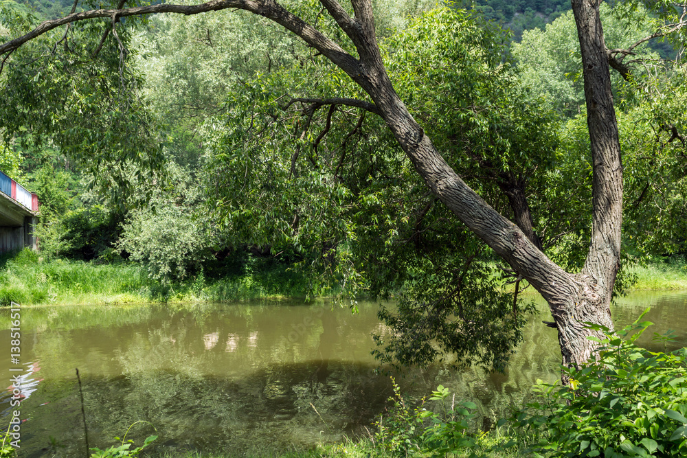 Amazing Summer Landscape of Pancharevo lake, Sofia city Region, Bulgaria Amazing Summer Landscape of Pancharevo lake, Sofia city Region, Bulgaria