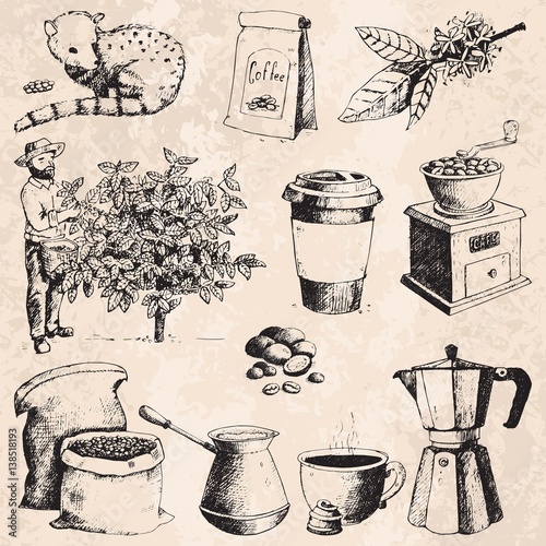 Coffee production hand drawn farmer picking beans on tree and vintage drawing drink retro cafe collection sketch dessert vector illustration.