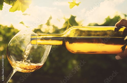 Pouring wine into glass on blurred nature background photo