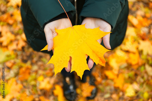 Female hands holding autumn leaf, closeup