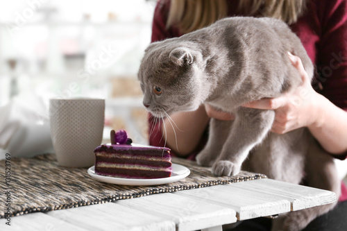 Fototapeta Naklejka Na Ścianę i Meble -  Woman sitting in cat cafe with dessert and cup of coffee