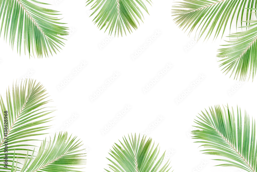 Tropical exotic palm branches frame isolated on white background. Flat lay, top view, mockup.