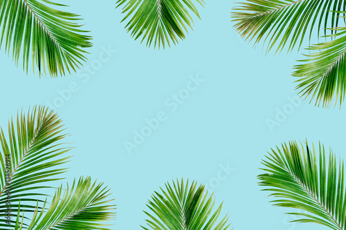 Tropical exotic palm branches frame isolated on blue background. Flat lay, top view, mockup. © Floral Deco