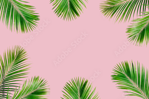Tropical exotic palm branches frame isolated on pink background. Flat lay, top view, mockup.