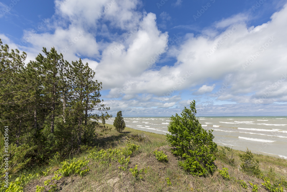 Sand Dune Ecosystem on the Shore of Lake Huron Sand Dune Ecosystem on the Shore of Lake Huron