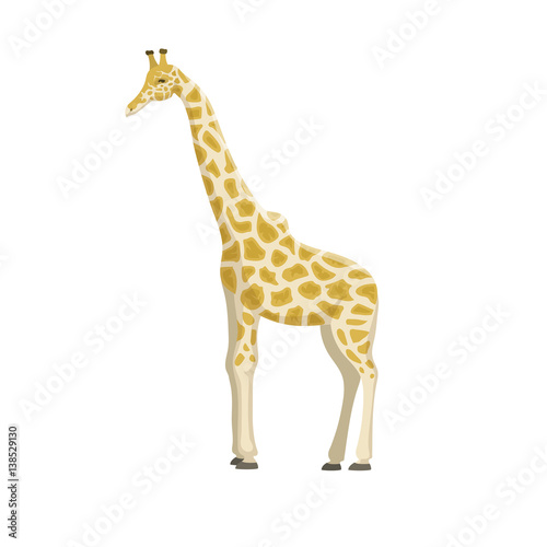 Cute giraffe cartoon vector illustration.