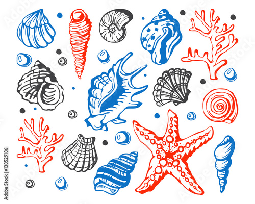 Sea marine shells hand drawn sketch vector illustration.