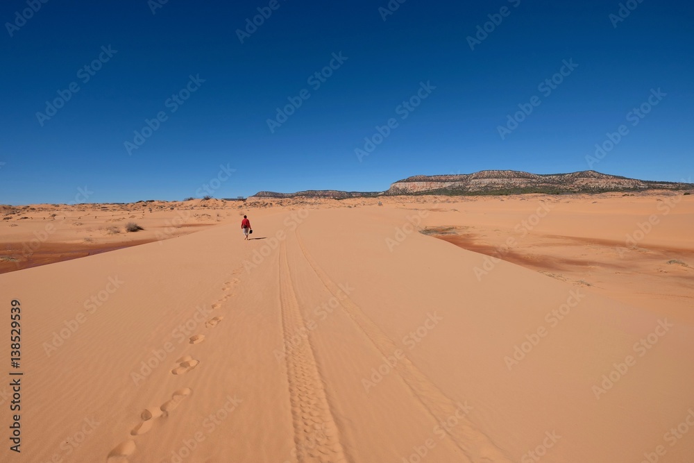 Man walking  in desert.  Coral Pink Sand Dunes State Park. Cedar City. Kanab. Utah. United States.