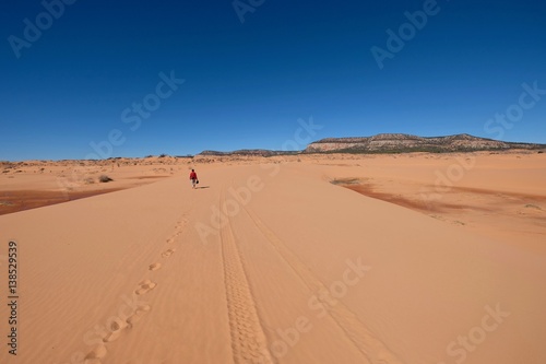 Man walking in desert. Coral Pink Sand Dunes State Park. Cedar City. Kanab. Utah. United States.