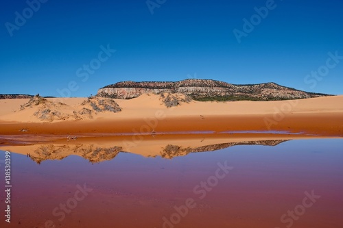 Perfect reflection of sand dunes in calm water. Coral Pink Sand Dunes State Park. Kanab. Cedar City. Utah. Unated States.