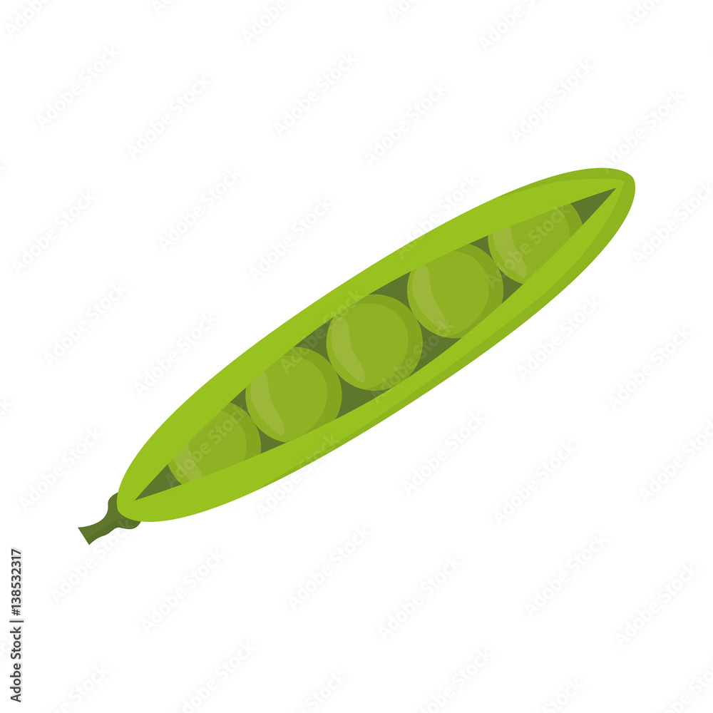 Delicious and fresh vegetable icon vector illustrration graphic design