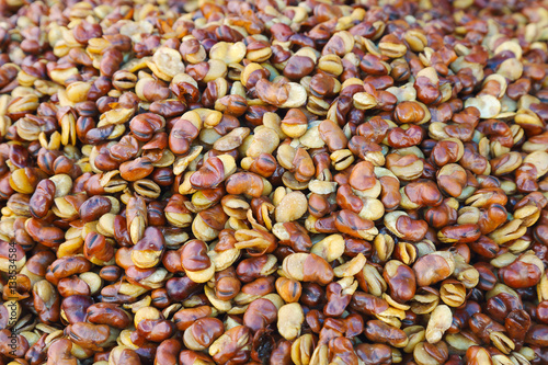 Salted dry broad beans or vicia faba on background