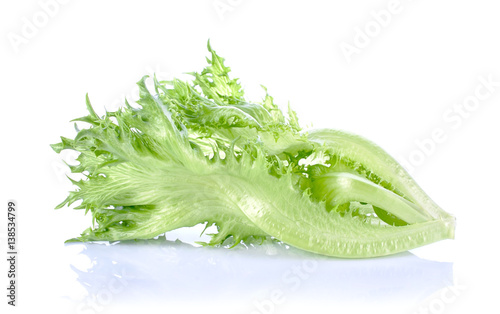 leaf lettuce close up on white.