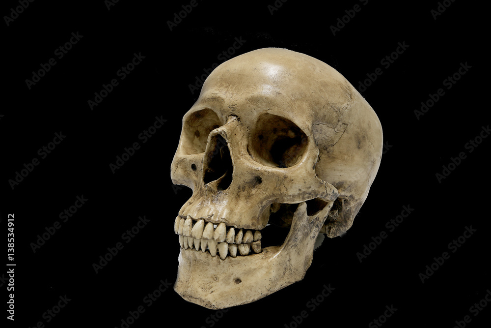 Naklejka premium Human Skull isolated on black background.