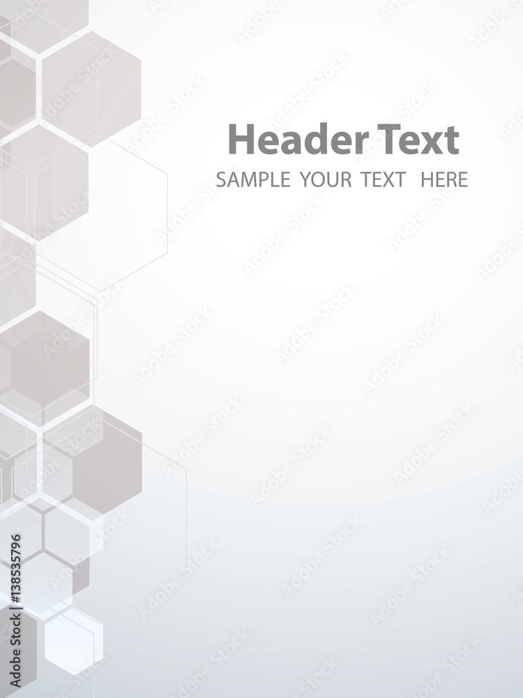 Vector Abstract geometric White background. Template brochure design. Gray hexagon shape