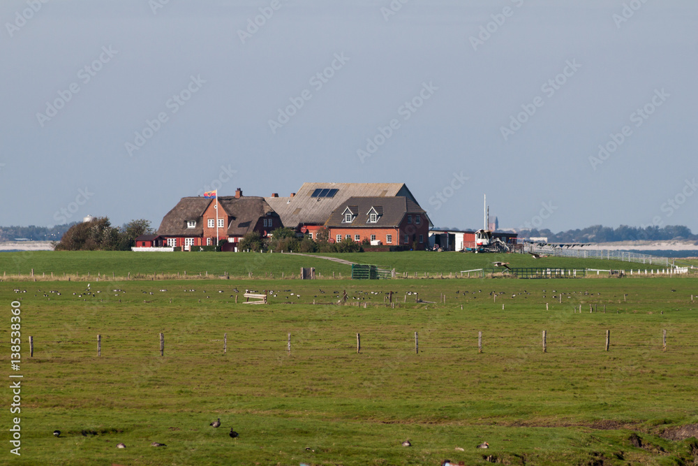 Obraz premium Hallig Langeneß