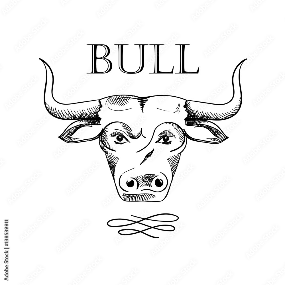 Vintage Bull Head - Openclipart