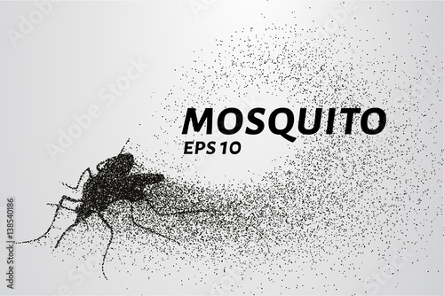 The mosquito of the particles. The mosquito consists of circles and points. Vector illustration
