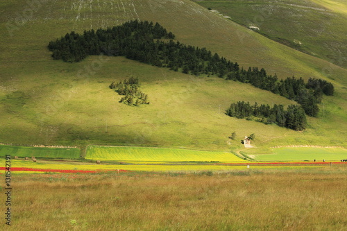 Castelluccio di Norcia, umbria