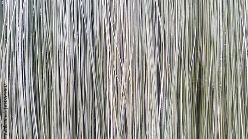  grass background photo