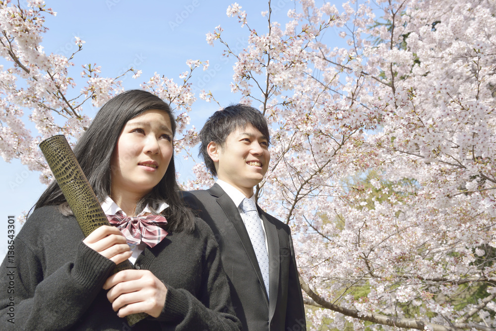 サクラの木の下のフレッシュマンと女子高校生
