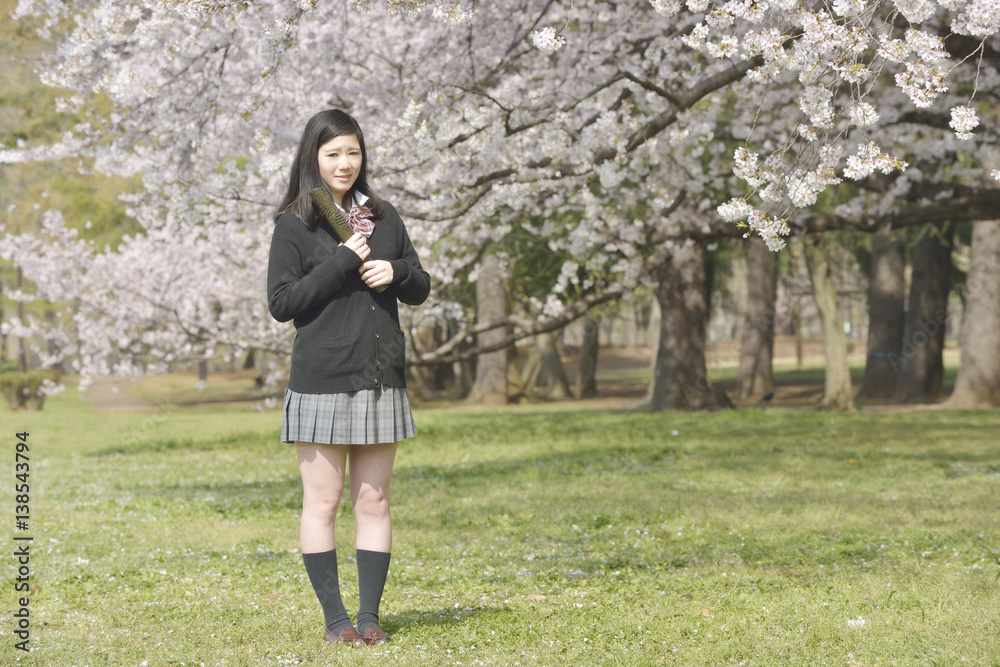 満開のサクラと女子高生