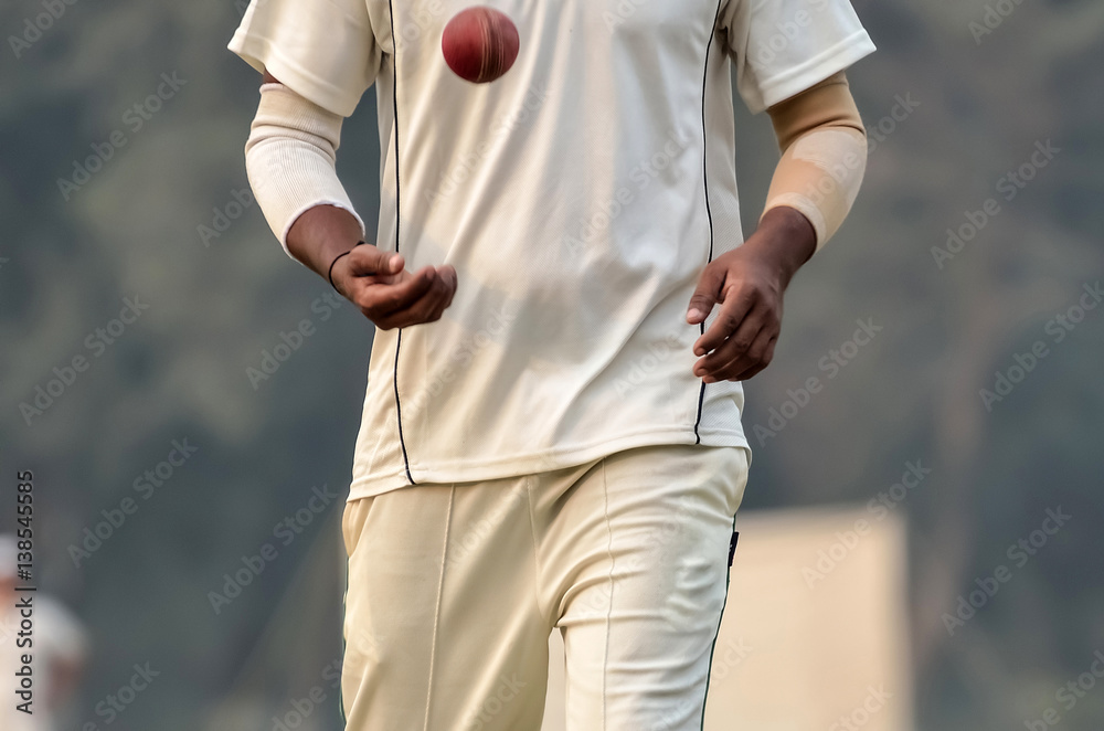 Boy is playing cricke. cricket blower Stock Photo Adobe Stock