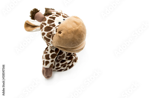 toy giraffe white background