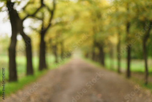 blurred background of alley in autumn park, real lens bokeh