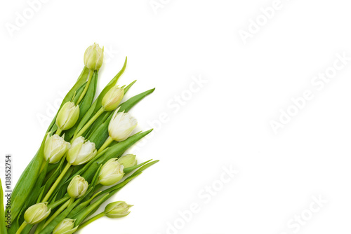 Bunch of white tulips over flat lay