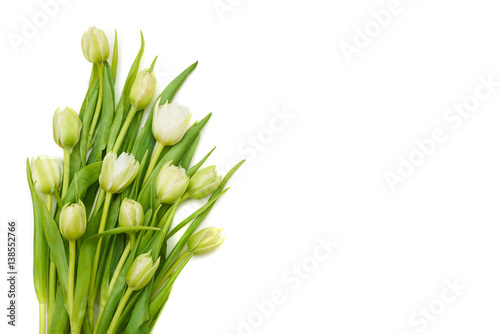 Delicate bouquet of white tulips over white flat lay