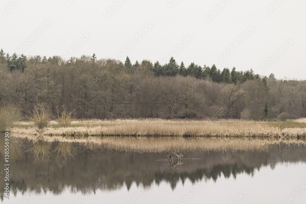 Lake scenery in the fall with reflections