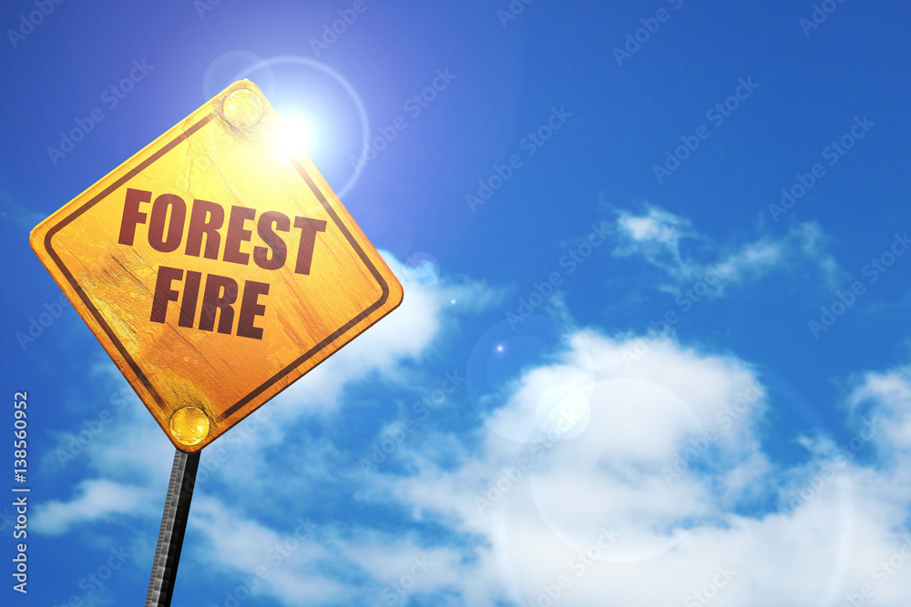 Naklejka premium forest fire, 3D rendering, traffic sign
