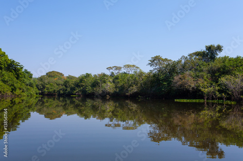 Panorama from Pantanal  Brazilian wetland region.