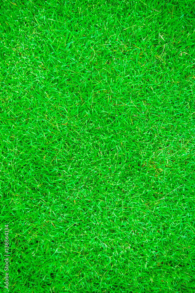 Green grass field natural texture Green grass field natural texture