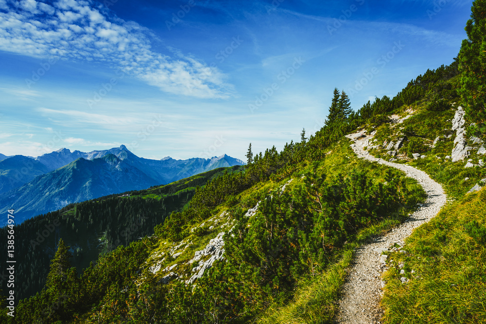 Hiking trail through forested alpine peaks - obrazy, fototapety, plakaty 