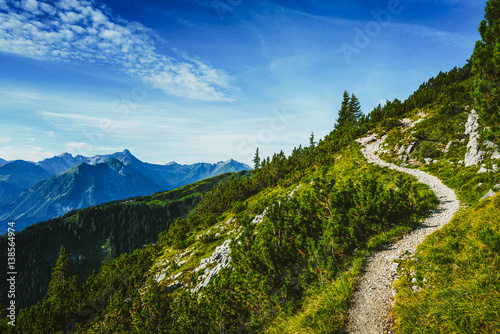Obraz na plátně Hiking trail through forested alpine peaks