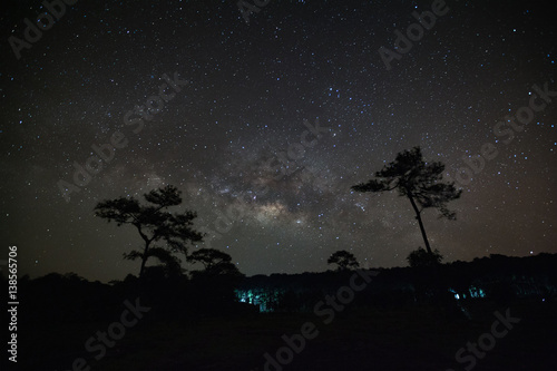 Milky Way Galaxy and Silhouette of Tree with cloud.Long exposure photograph.With grain