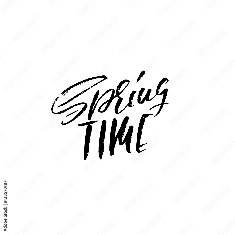 Hand lettered style spring design on a white background. Spring Time hand drawn calligraphy letters. Vector illustration. Hand lettered style spring design on a white background. Spring Time hand drawn calligraphy letters. Vector illustration.