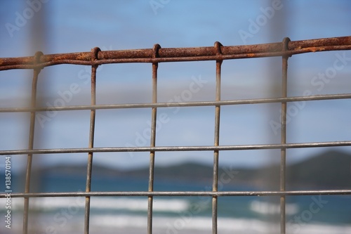 Caged Beauty