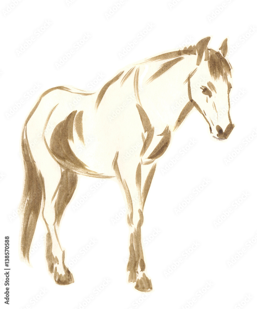 Hand drawn brushstroke sketch on paper of horse 