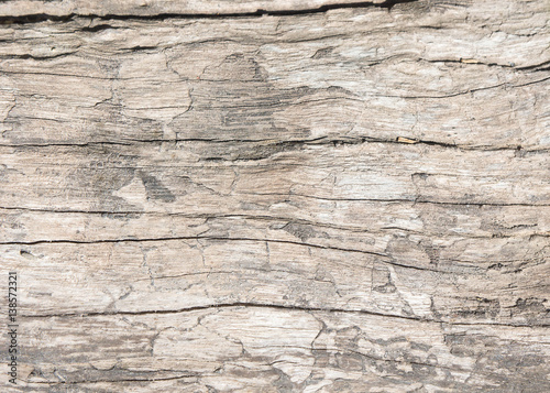 Texture old wood background, wood oak style